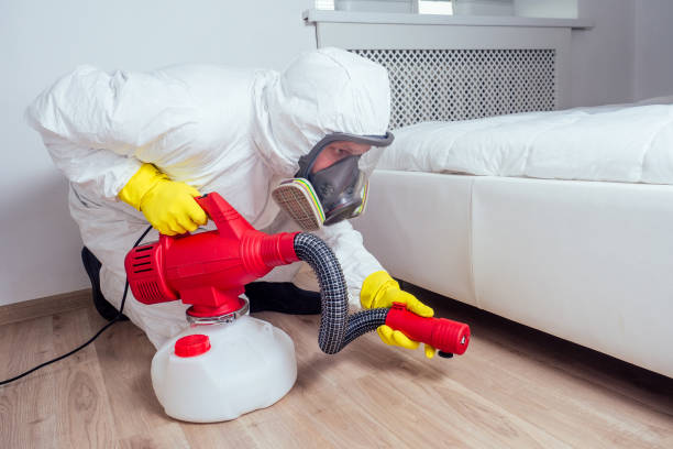 Best Fumigation Services  in Bloomgton, IN